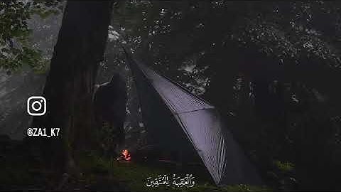 سورة القصص - الآية 83 - محمود خليل الحصري