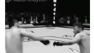 Muselman Yumrugu ---