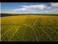 уютный вечер / стрим под гитару