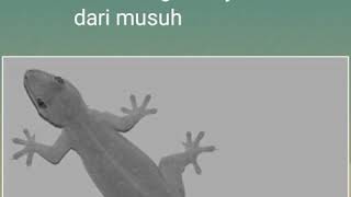 Sd mata pelajaran ipa ...