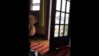 Kiki Gets Crazy With The Rain