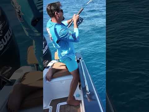 BÜYÜK YEME BÜYÜK BALIK GELİR 😉🎣.  #baliktutma #fishing #balıkavı #fish #balık #shortsvideo