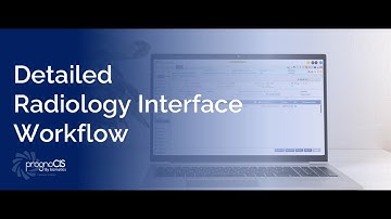 Detailed Radiology Interface Workflow