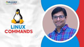 Day-10 | These Linux Commands Will Save You Hours of Work