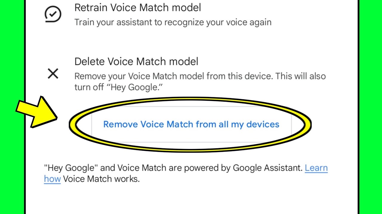 Remove voice match from all my devices kya hai
