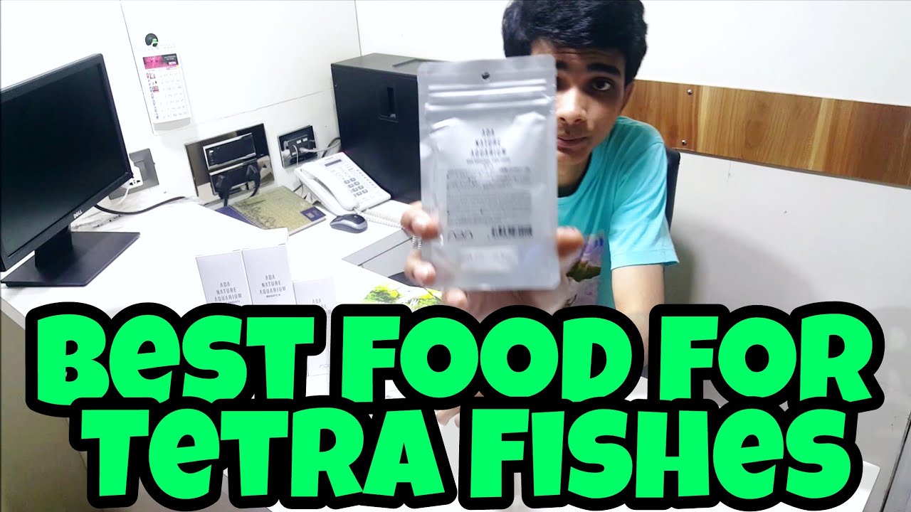 BEST FOOD FOR TETRA FISHES ADA FERTILISER ADA FOOD NATURAL