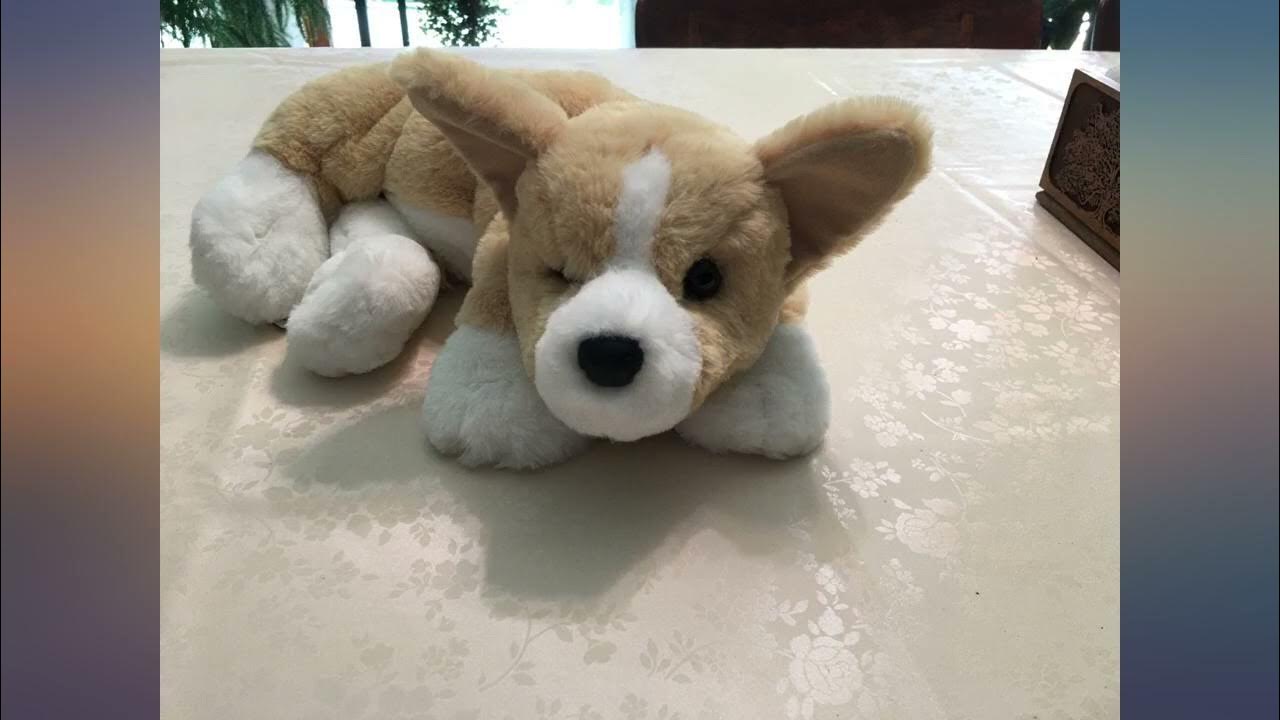 Douglas Toys Rudy Corgi – Corgi Things