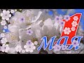 С Весенним праздником 1 МАЯ!🌸🌺🌸🌸🌺🌸 1