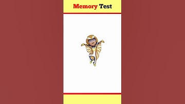 Memory Test 🤔 (Part-36) #shorts #youtubeshorts #riddles #shortfeed #viral #test #memorytest