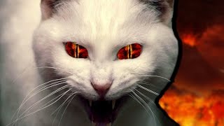 CAT IN THE SHEETS | Reigns | Gameplay / Let's Play #9