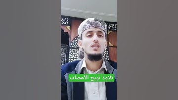 تلاوة تفوق الوصف لمن هو مهموم استممع