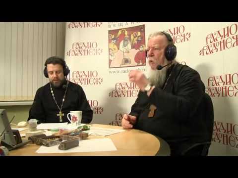 ლიბერალი რაინიკე მელიების მხილება!Радио «Радонеж»  Протоиерей Димитрий Смирнов 2014 02 22