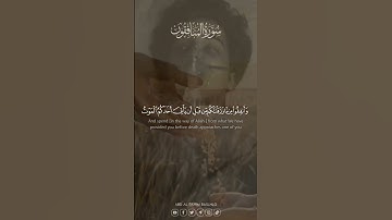 #ليدّبروا_آياته     سورة المنافقون 9 - 11