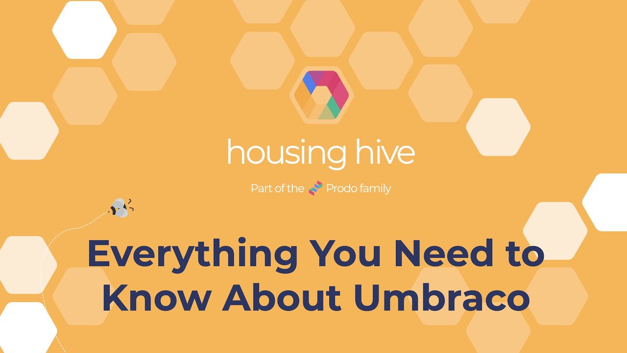 Housing Hive: Everything you need to know about the Umbraco CMS