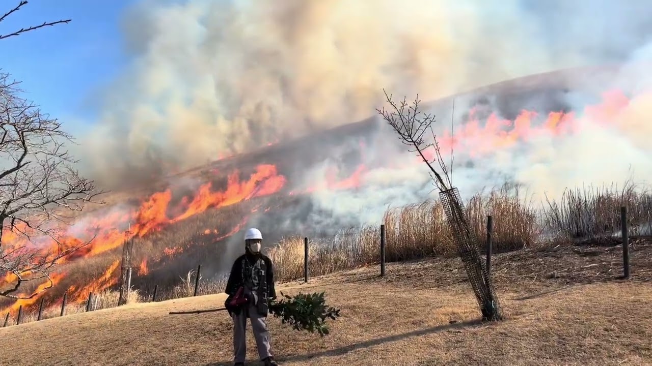 大室山山焼き 2026.2.15