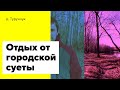 #Поиск красивого места, в одесской области, #река #Турунчук.