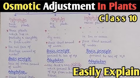 Osmotic Adjustment In Plants | Hydrophytes | Xerophytes | Halophytes ( Urdu/Hindi)
