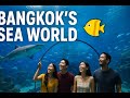 Exploring Bangkok's Sea World Your Perfect Friend Reminder!