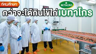 Inside Betagro’s Egg Farm & Egg Grading Facility🥚- TGC Field Trip screenshot 5