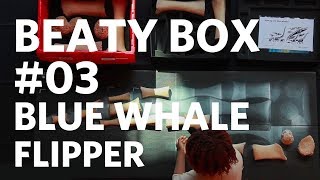 Beaty Box 003 Blue Whale Flipper Bones