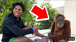 Ishowmonkey When Speed Meets Monkey