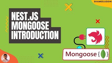 Nestjs Mongoose Tutorial #1 | Introduction