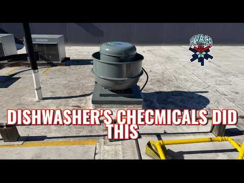 The Dishwasher's Chemicals Did This