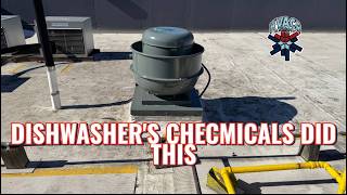 The Dishwasher's Chemicals Did This