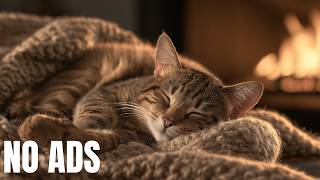 Anti-Anxiety Music For Cat: Relaxing Music to Keep Your Kitty Calm and Happy And Sleep Better 🌼 screenshot 5
