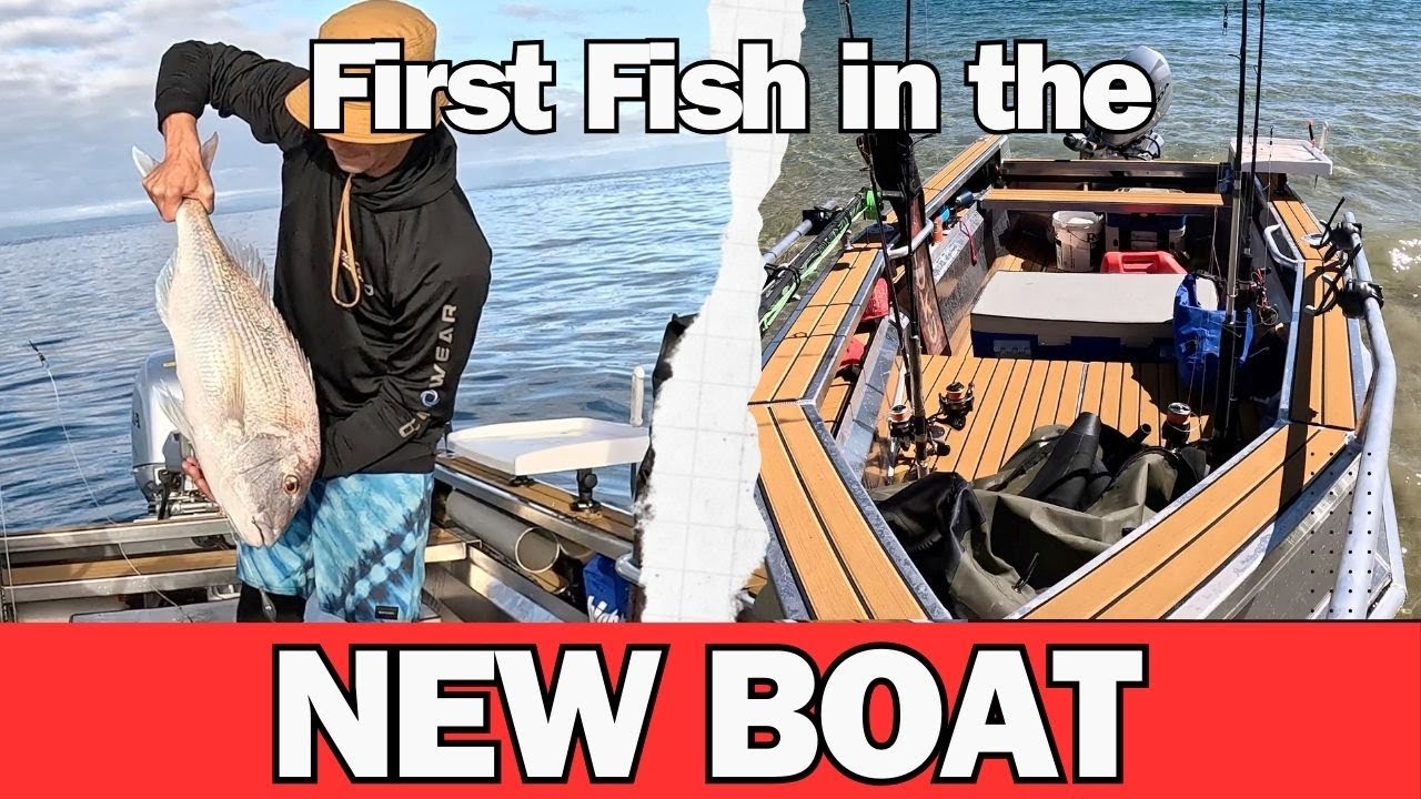 Last Chance for Tasman Bay SNAPPER in the FREWZA F14