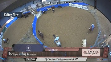 Big Sky Ranch Sorting Saddle Series #4 - #9 HC SORT - Round #1 - Ride #44