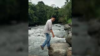 Gerubak buhuk sapi gile, lagu sumatera selatan