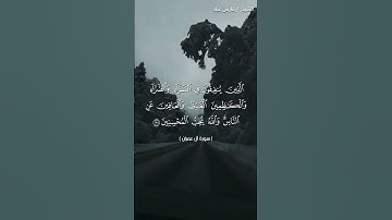 وسارعوا إلى مغفرة من ربكم 😴🕊راحة النفسية حالات واتس اب قرآن كريم تلاوة مؤثرة بصوت جميل جدا Quran ⚘️