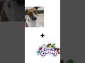 My dog in smilling critter!!☆☆#animation #flipaclip #memeanimation #poppyplaytime #smilingcritters