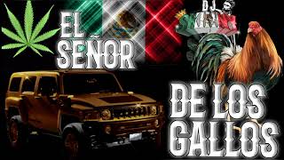 Corridaos pa' el señor de los gallos mixx