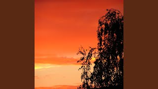 Alleluia - Crystal Dolphin
