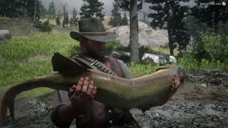 You, sir, are a fish