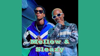 Mellow & Sleazy - Ndiya ft. Xduppy, ShaunMusiQ, Ftears | Amapiano