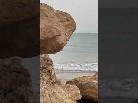 تحبك روحي واحسك نفس هالروح ماجد المهندس حالات حب