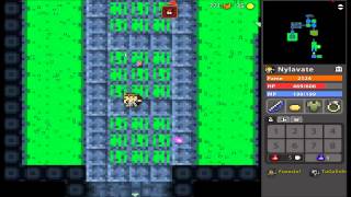 ROTMG Hacker Caught!