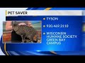 Pet Saver: Tyson