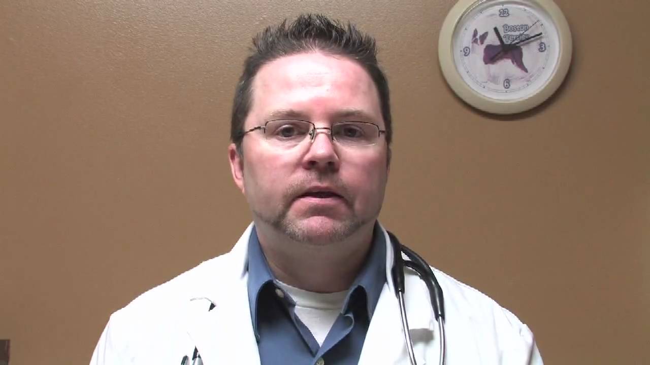 Canine Diseases & Treatment First Aid for Dog Vomiting YouTube