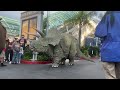 Juliet the Triceratops