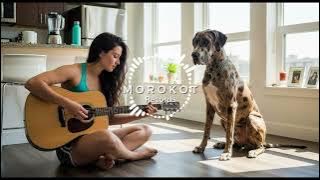 A Thousand Moments – Music That Brings a Thousand Memories | Morokot Records