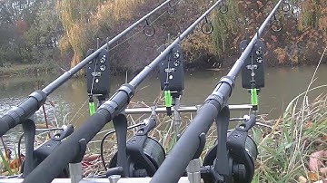 carp run compilation #8