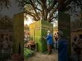 Old Arab Craftsman Builds Giant Palm Leaf Masterpiece Amazing Village Art 🌴#ai #shorts #islam #diy