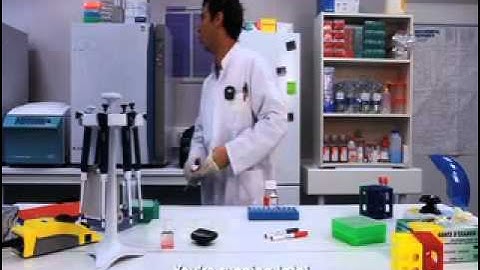 RAININ XLS - No Stress