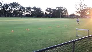 Sienna Fillis Wickets