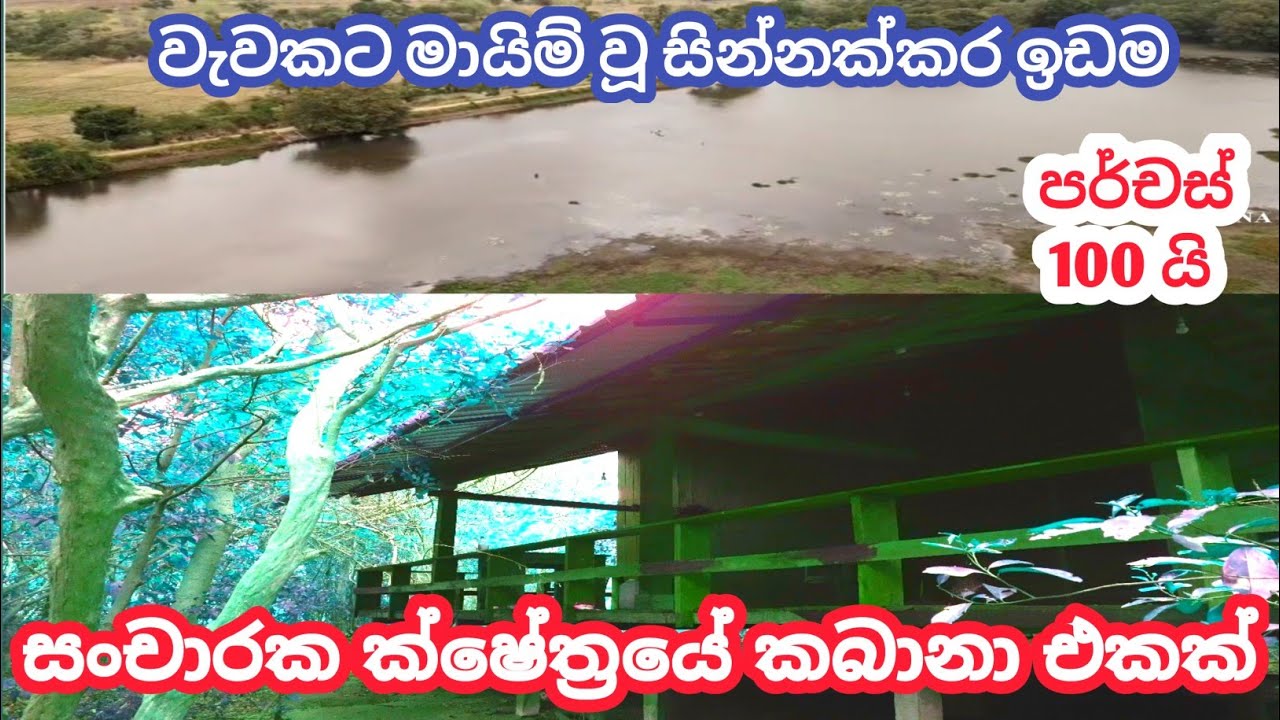 වැවකට මායිම් කබානා එකක්.( නොච්චි ආගම) විල්පත්තුව සංචාරක කලාපයේ