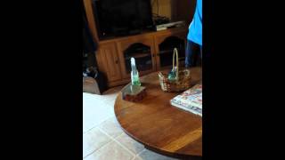 Easter 2015 - Noah hunting for eggs